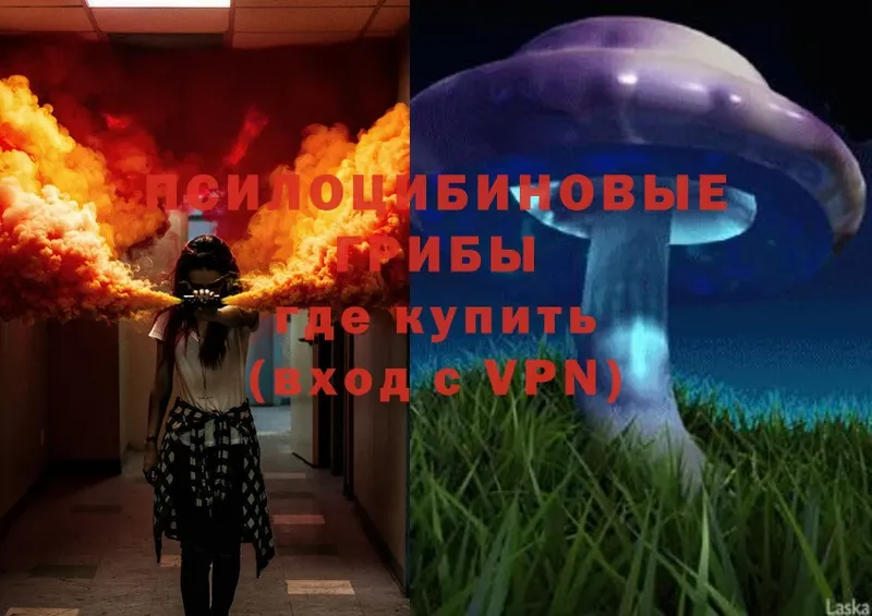 Галлюциногенные грибы Magic Shrooms  купить наркоту  Курганинск 