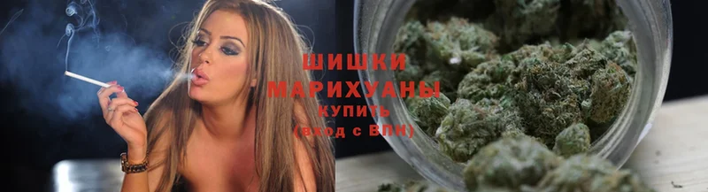 Бошки марихуана Amnesia  цены   Курганинск 